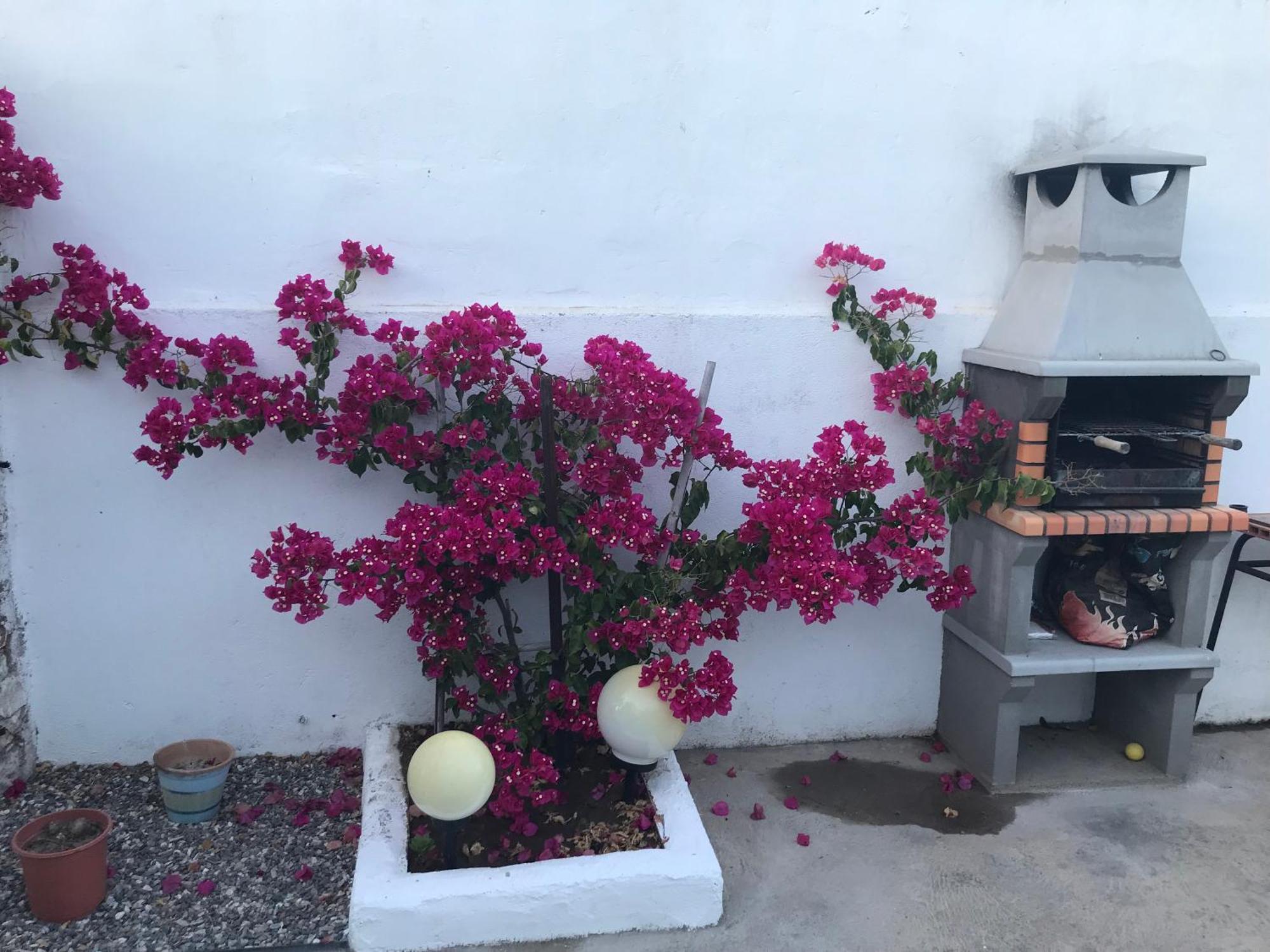 Ferienwohnung Casa Santo Antonio Pias  Exterior foto